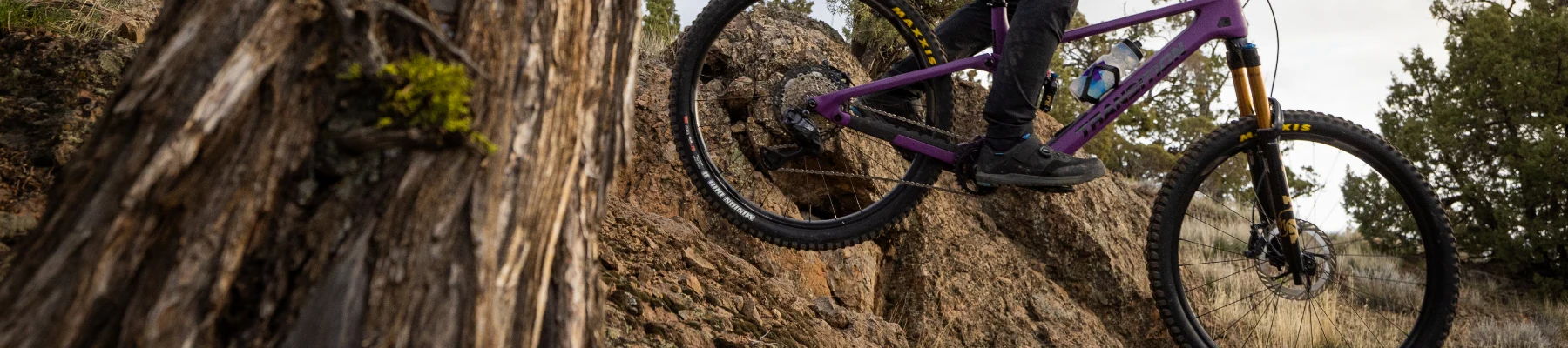 Ride Without Limits